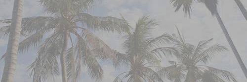 joshnahc's profile banner image