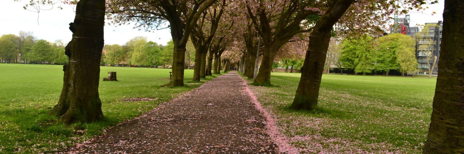 Doğuş Can Öksüz banner