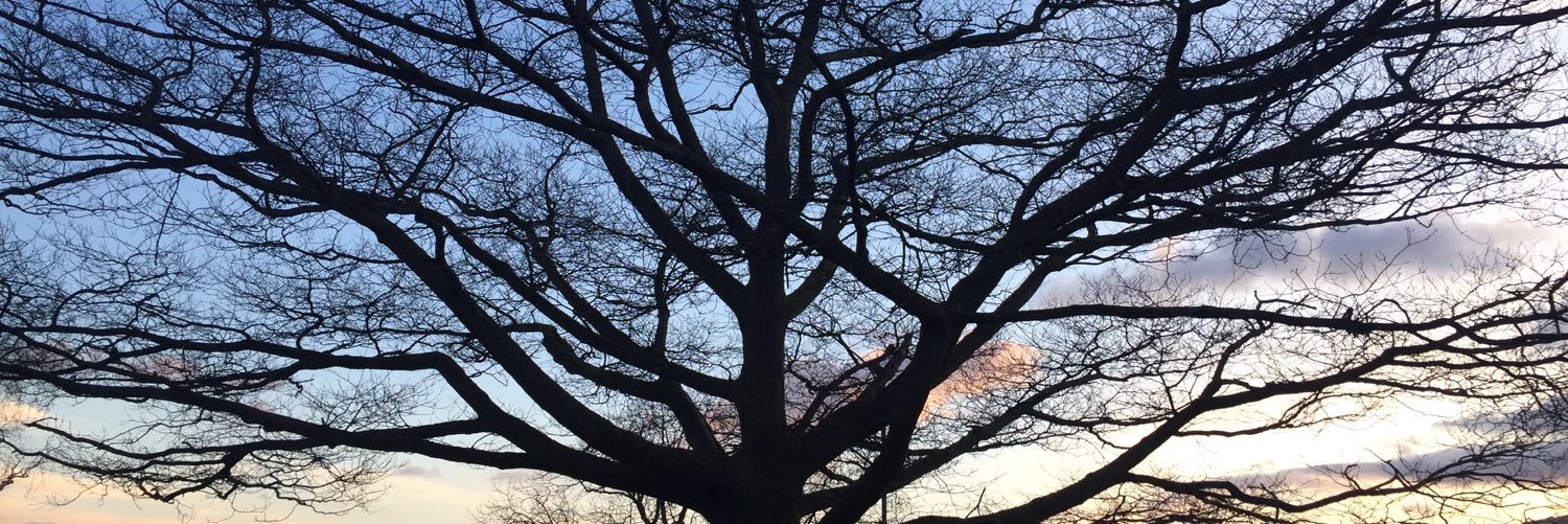 isabel97_'s profile banner image
