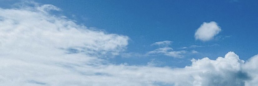 tbrassaud's profile banner image