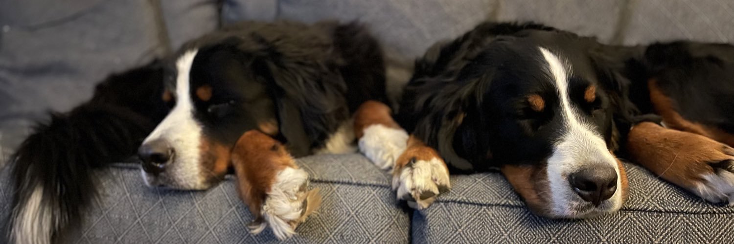 Tricia Manley banner