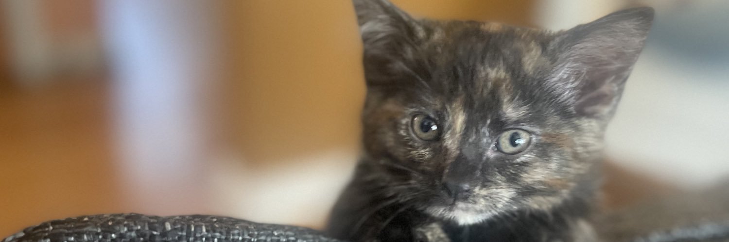 Coco banner