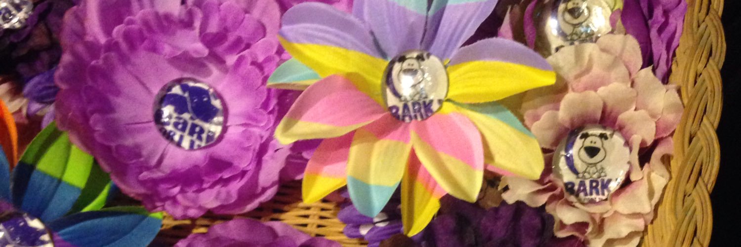 Pittypetal's profile banner image