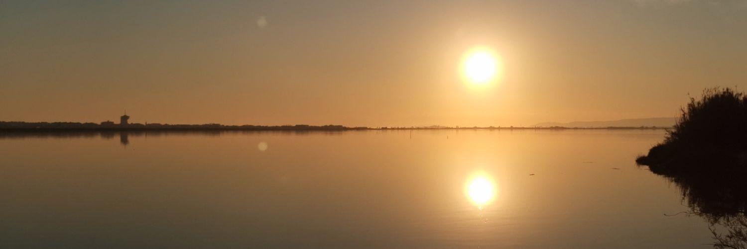 CriticPas's profile banner image