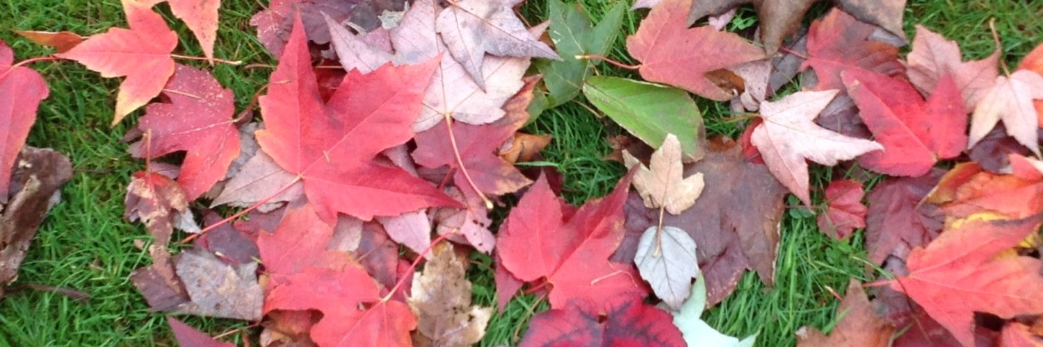 StephanieRuth24's profile banner image