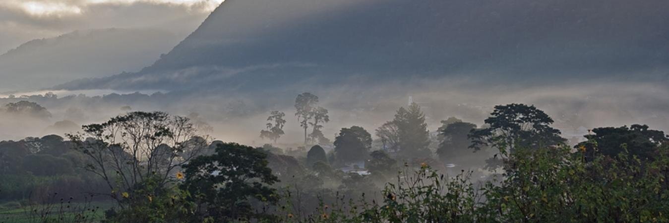 caripevirtual's profile banner image