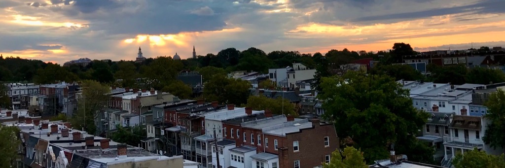 TheaAHolcomb's profile banner image