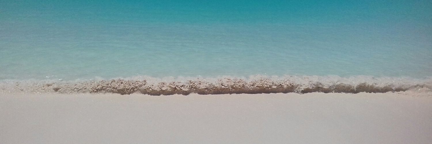 Luis Zerpa banner