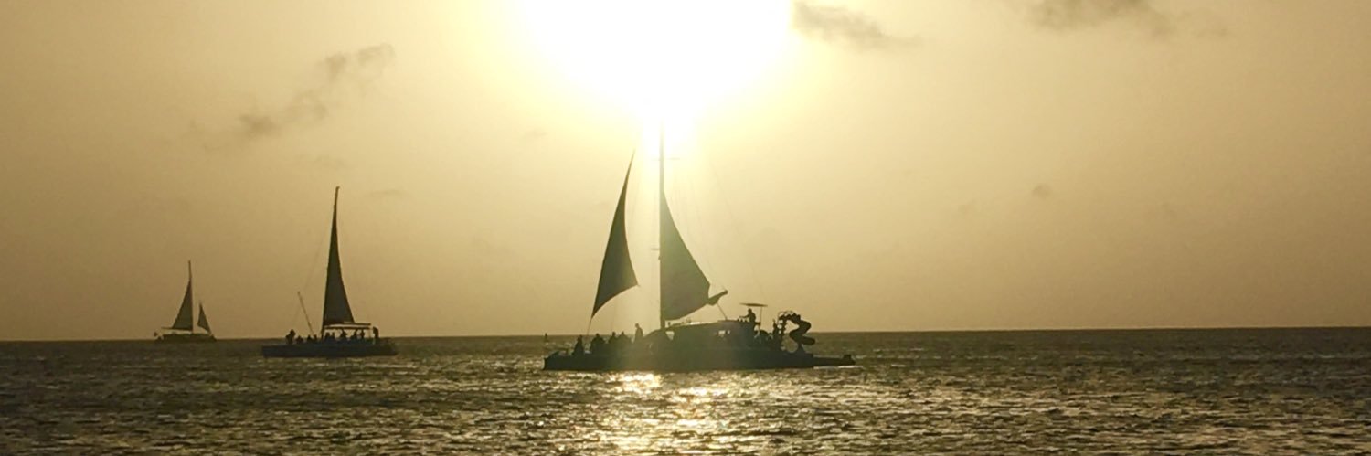 lmerring's profile banner image