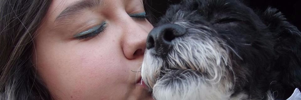 ItsCampanilla's profile banner image