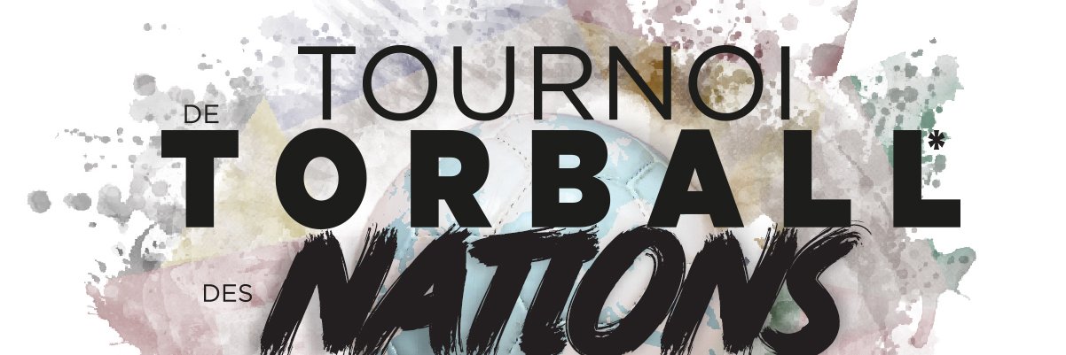 ANICES HANDISPORTS banner