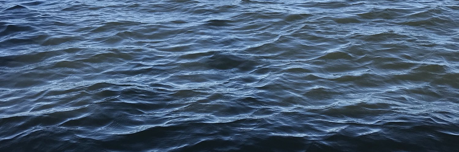 Jess Mitchell banner