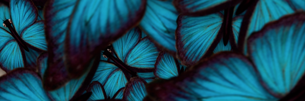 MMGaicle's profile banner image