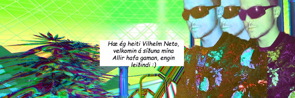 Vilhelm Neto banner
