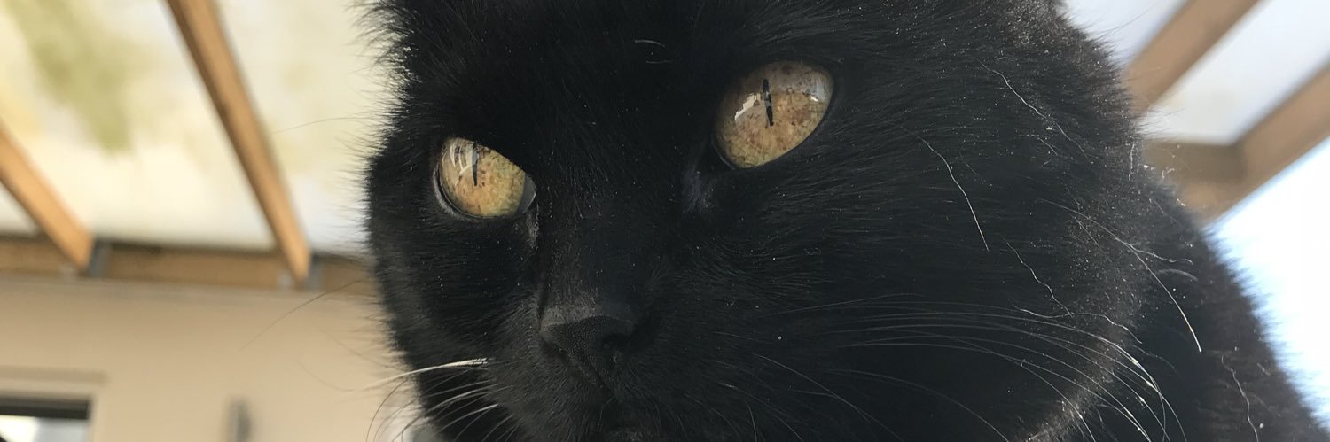 sallyalp2000's profile banner image