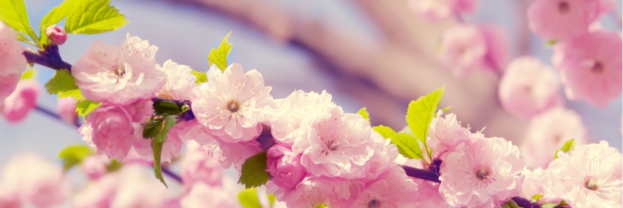 tritacones's profile banner image