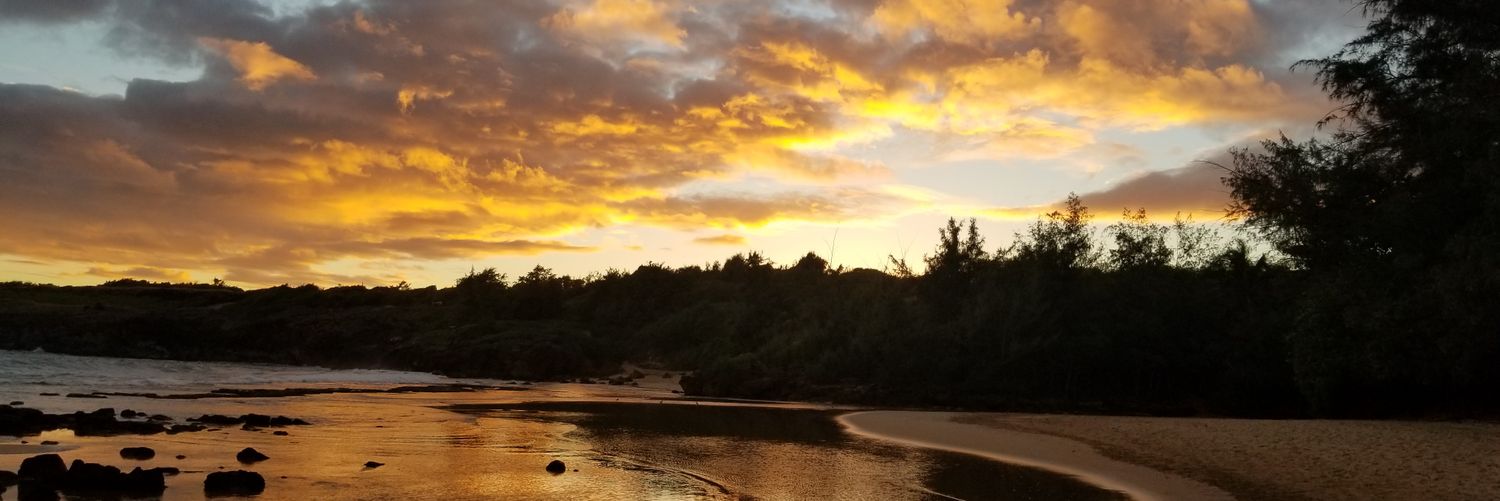 EmilyGaudette's profile banner image