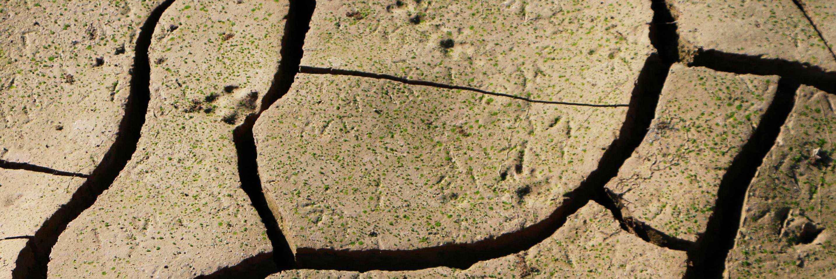 zacariascalzado's profile banner image
