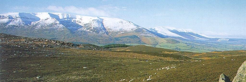 Comeragh Mtn. Lamb banner