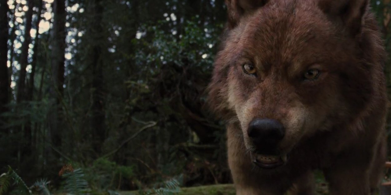 _WERWOLF__'s profile banner image
