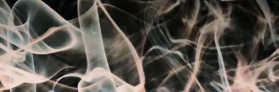 Katelyn Armstrong banner
