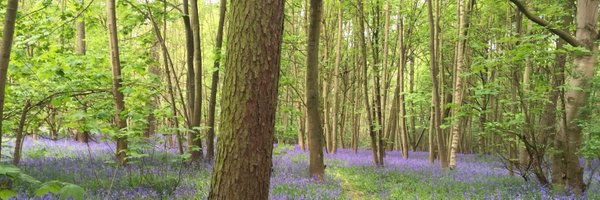 yculj Profile Banner