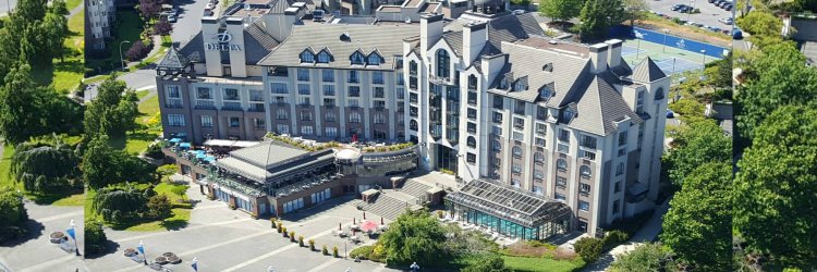 Delta Ocean Pointe banner