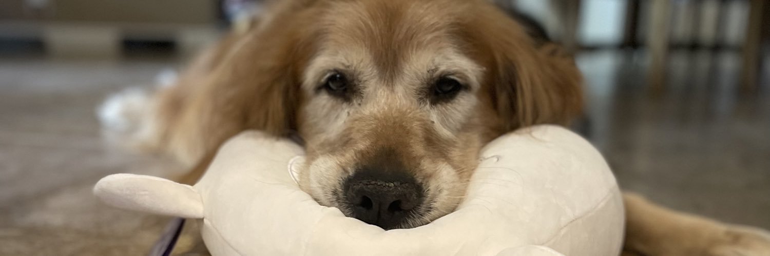 kelliemac208's profile banner image