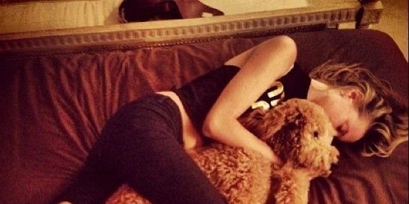 LilyRPGHT2_'s profile banner image