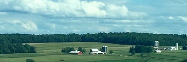 ItsTheNeech Profile Banner