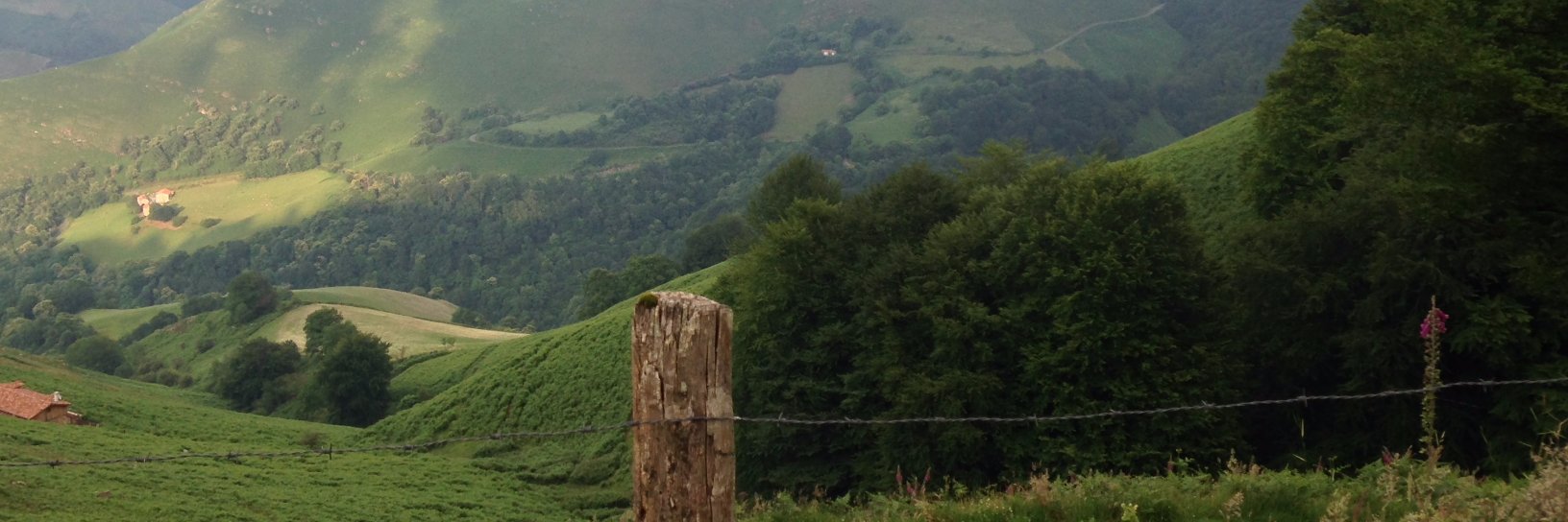 Marya McNeish banner