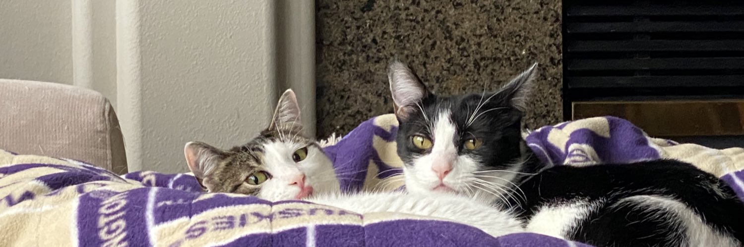 Matt Winberry banner