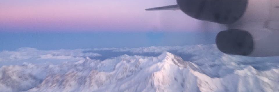 Àngels Bosch banner