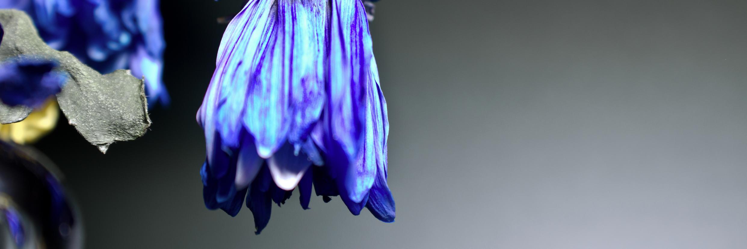 DallasLeePhoto's profile banner image