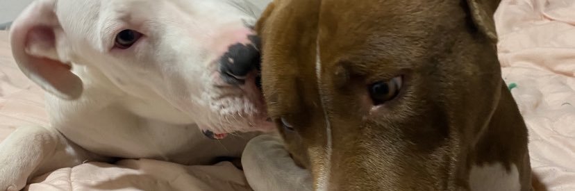 Katiijaime's profile banner image