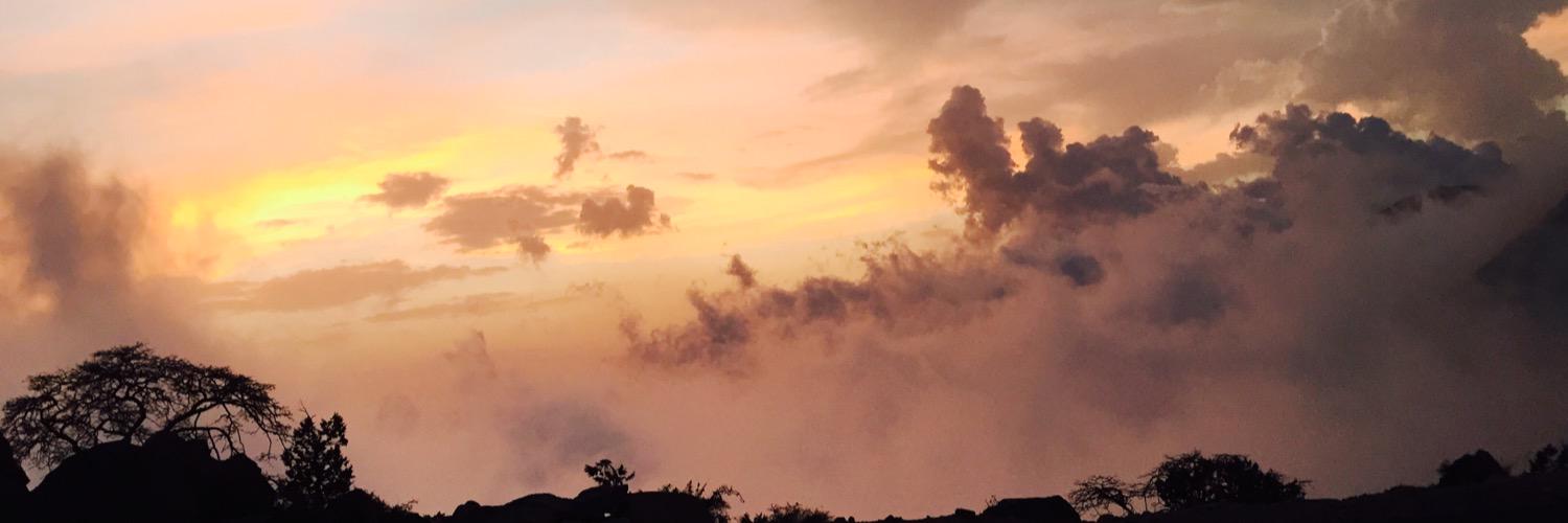brevehart1's profile banner image