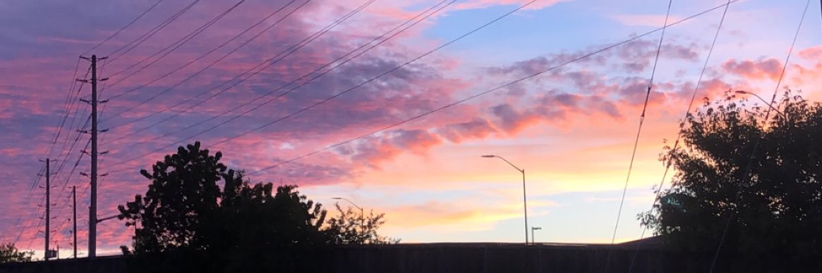 sydflynn's profile banner image