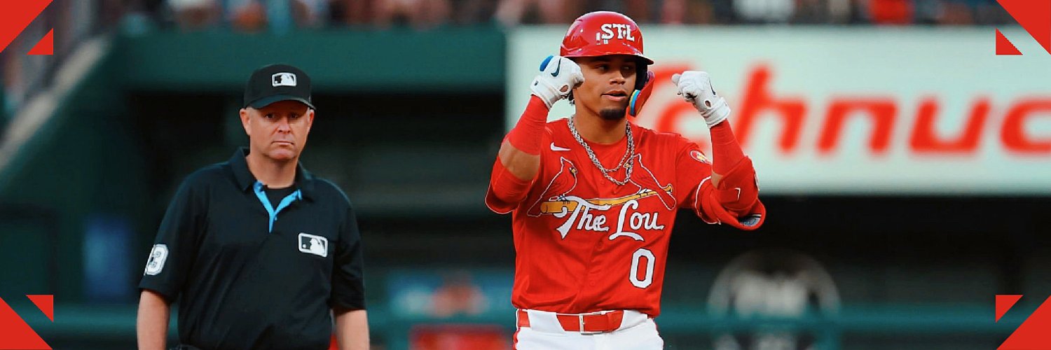 Cardinals Dude banner