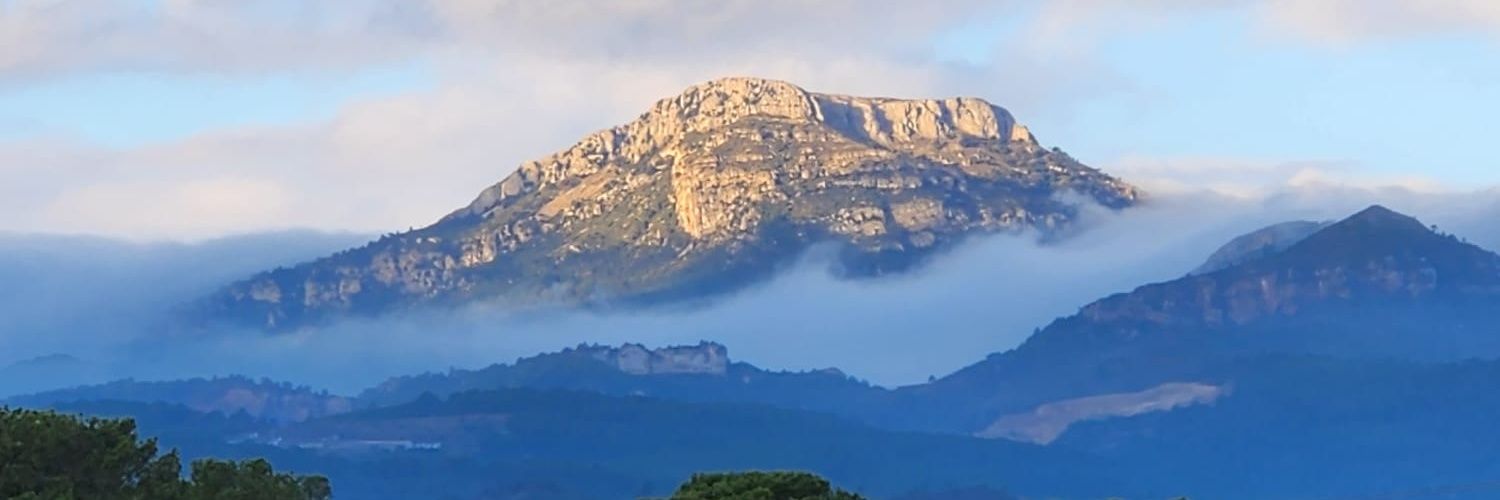 CRM Qui no es mou no sent les cadenes banner