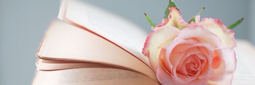 Shaasha92's profile banner image