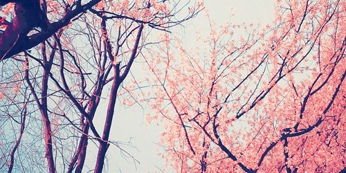 neree_5's profile banner image