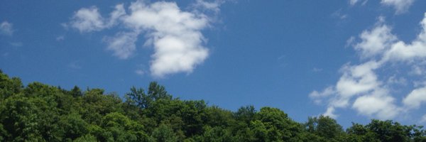 professorgriley Profile Banner