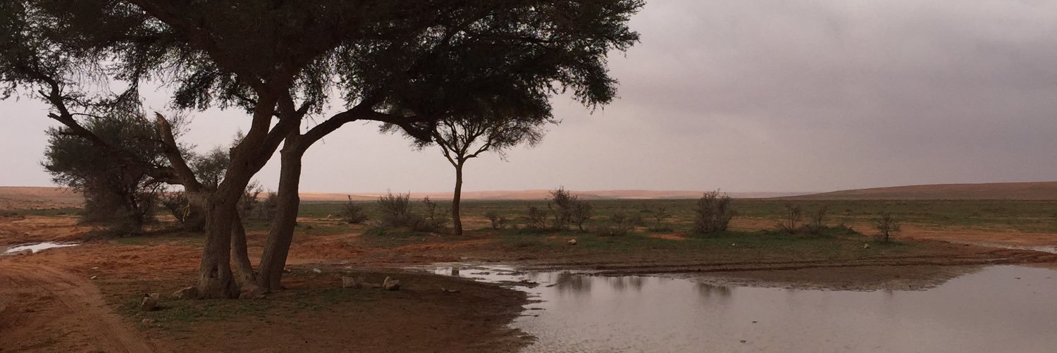 sllom55's profile banner image