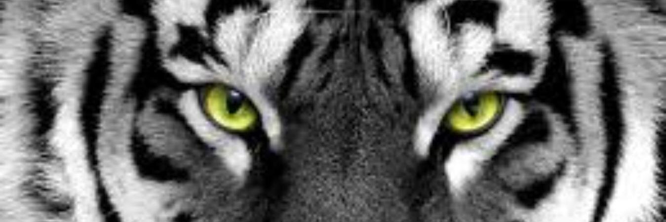 _SirJames's profile banner image