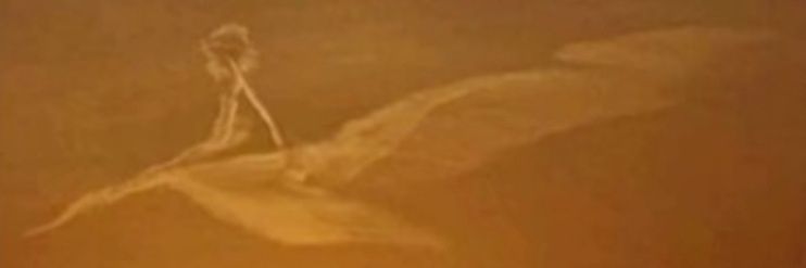 __almonifi's profile banner image