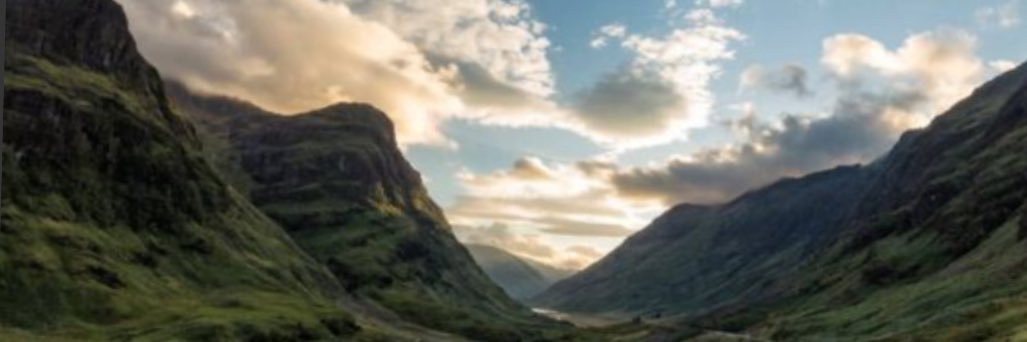 jim gray 💜 banner