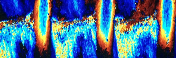 EcoNutriMx Profile Banner