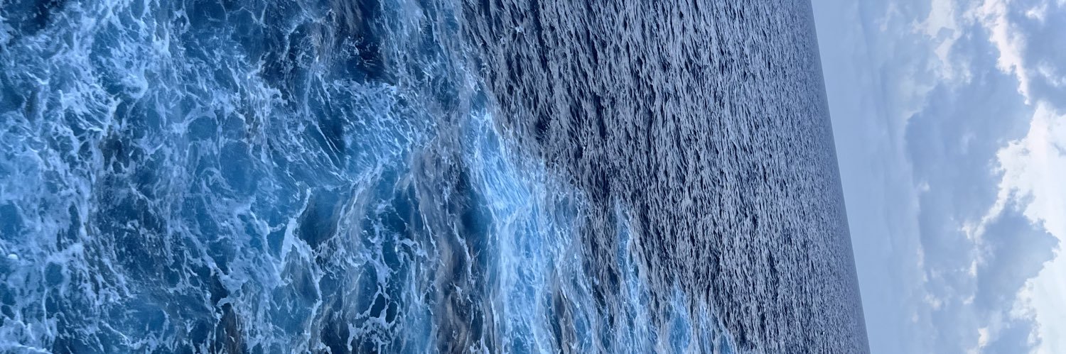 Paulisteiger's profile banner image