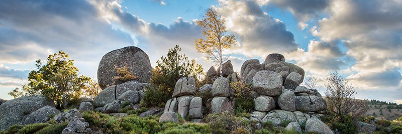 CalvinDiffusion banner