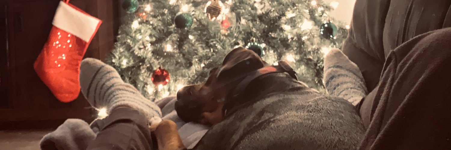 carrrieplain's profile banner image